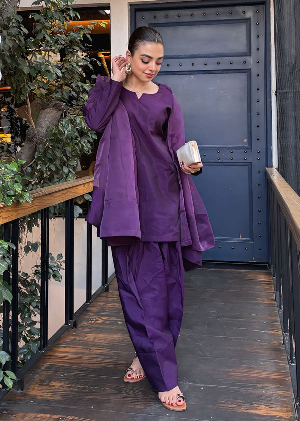 3 Piece Stitched Ladies Dress