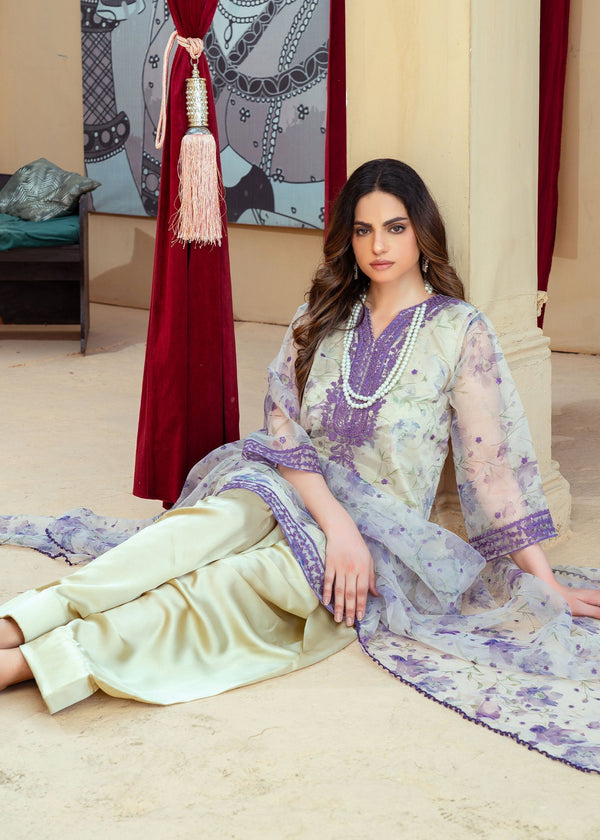3 Piece Stitched Ladies Dress