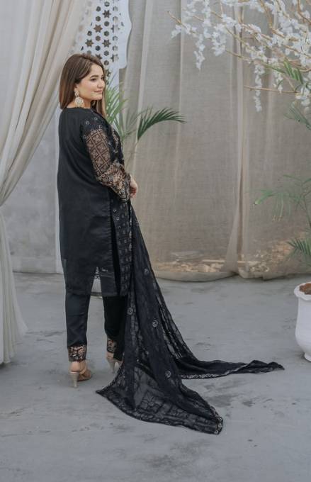 3 Piece Stitched Ladies Dress