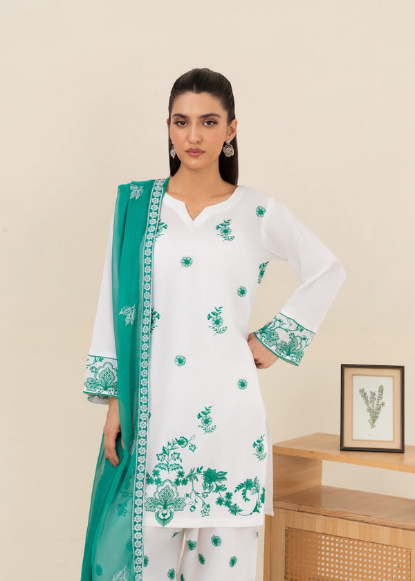 3 Piece Stitched Ladies Dress