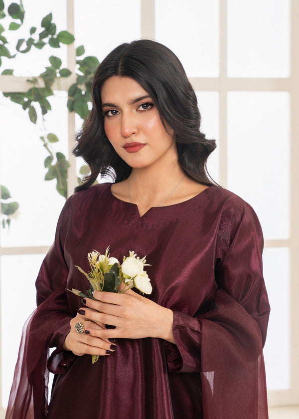 3 Piece Stitched Ladies Dress