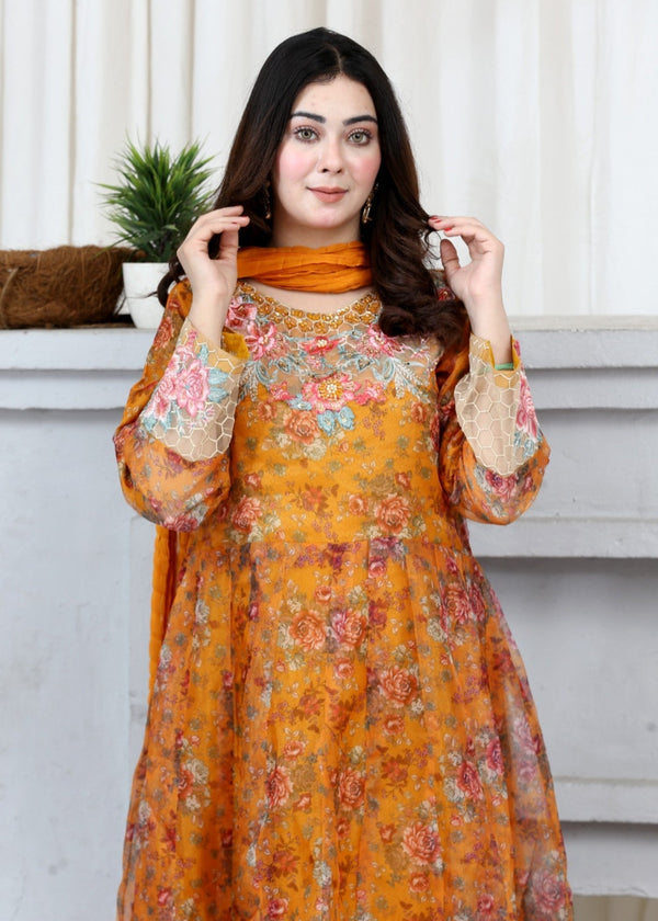 3 Piece Stitched Ladies Dress