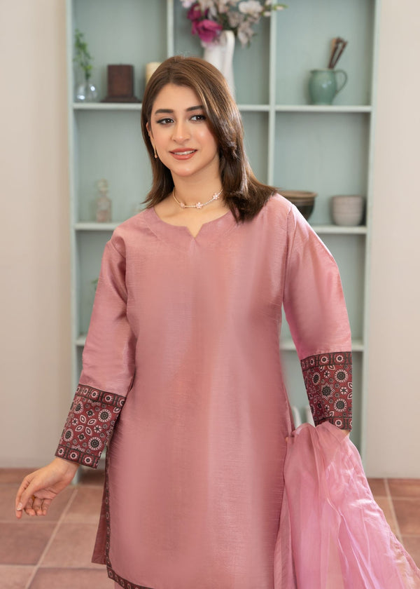 3 Piece Stitched Ladies Dress