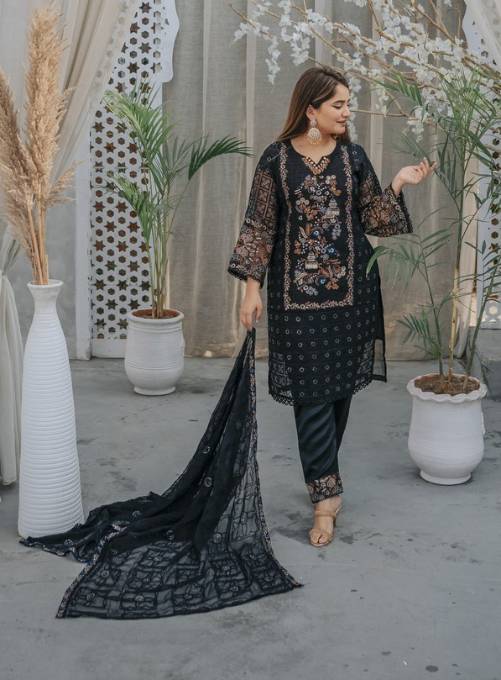 3 Piece Stitched Ladies Dress