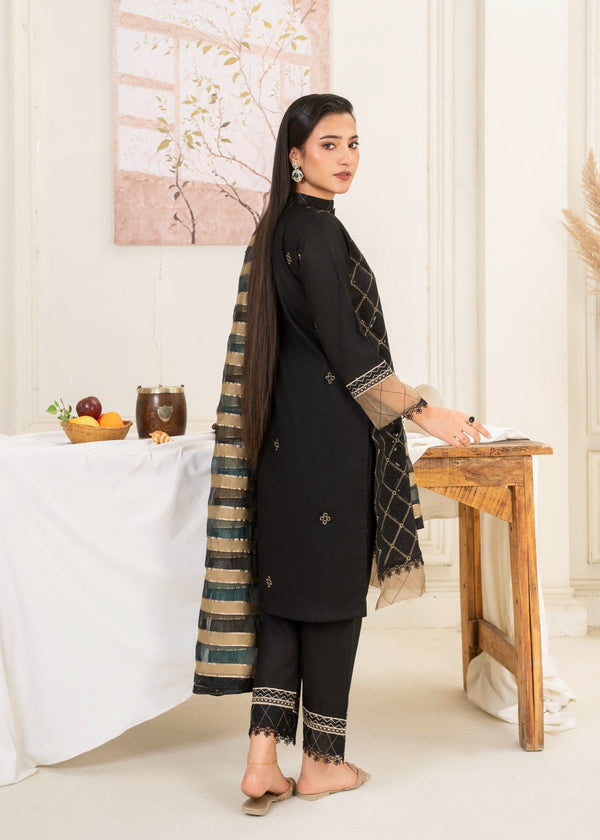 3 Piece Stitched Ladies Dress