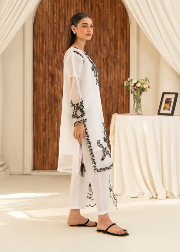 3 Piece Stitched Ladies Dress