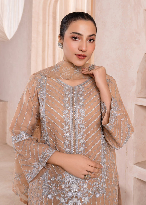 3 Piece Stitched Ladies Dress