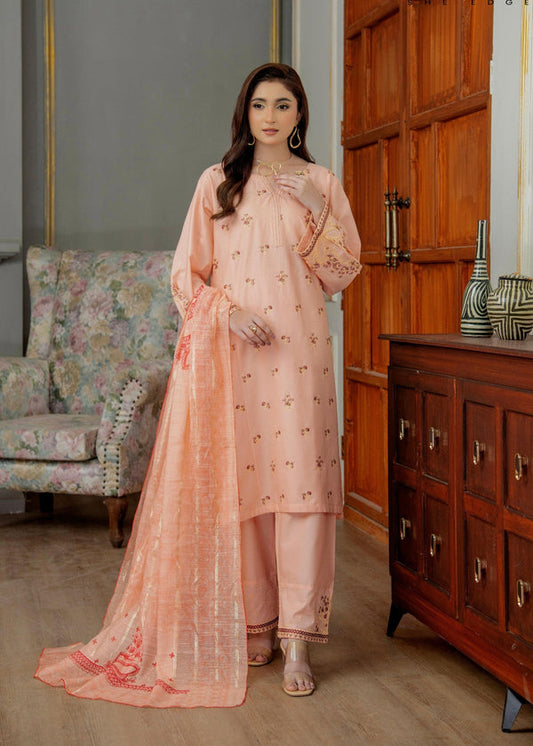 3 Piece Stitched Ladies Dress