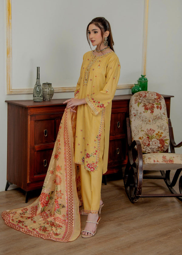 3 Piece Stitched Ladies Dress