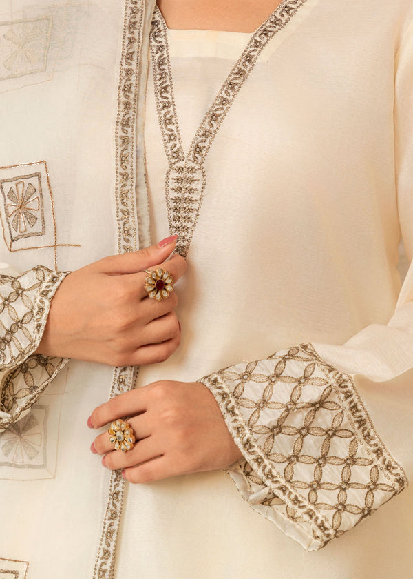 3 Piece Stitched Ladies Dress