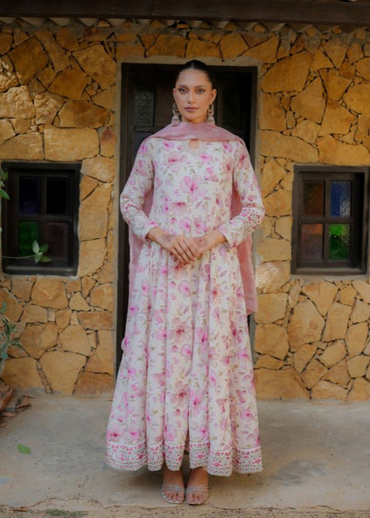 3 Piece Stitched Ladies Dress