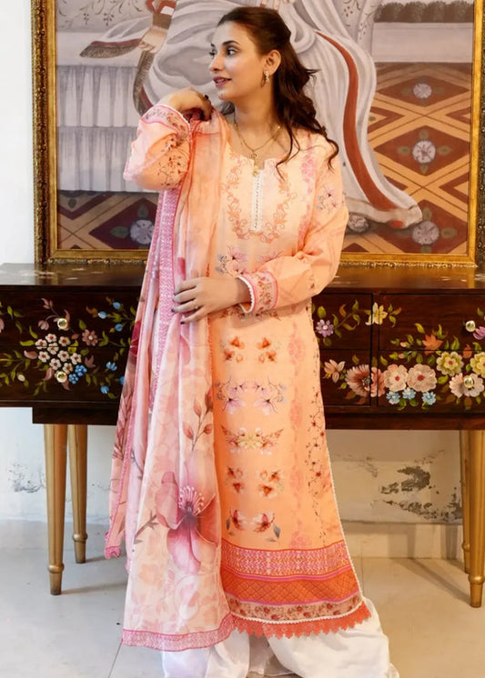 3 Piece Stitched Ladies Dress