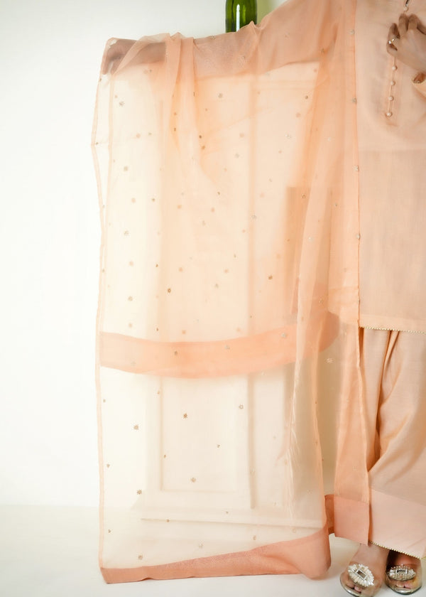 3 Piece Stitched Ladies Dress
