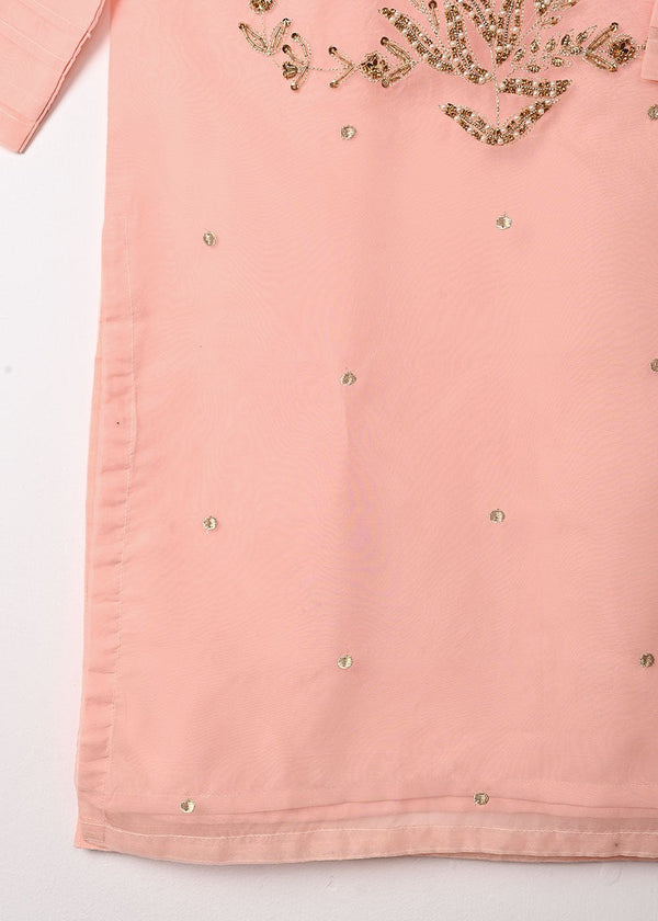 3 Piece Stitched Ladies Dress