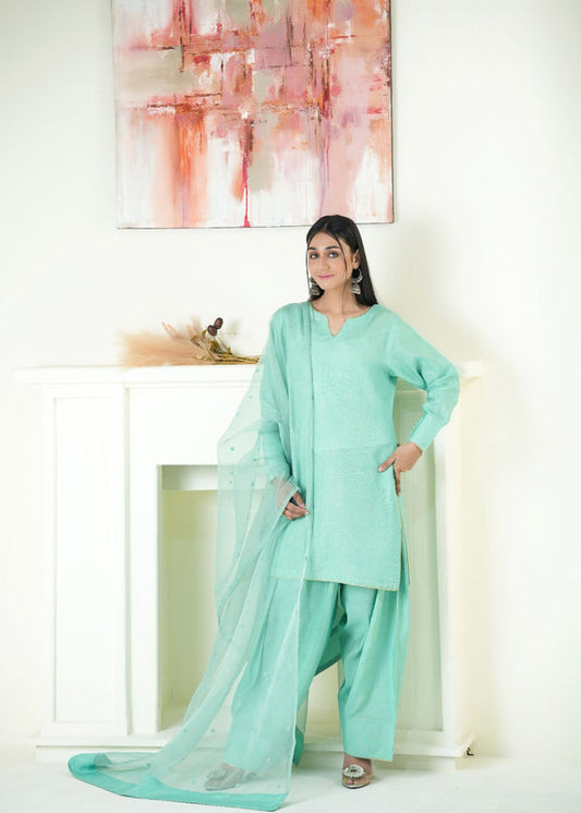 3 Piece Stitched Ladies Dress