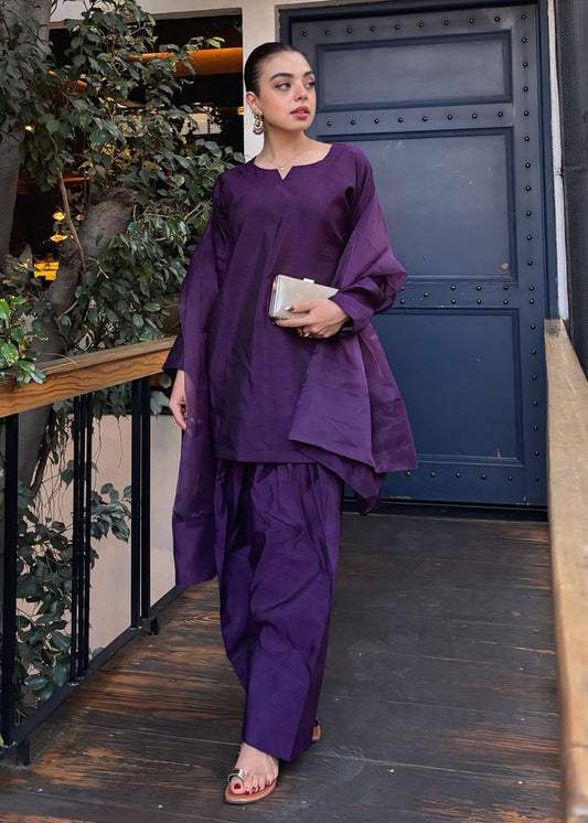 3 Piece Stitched Ladies Dress