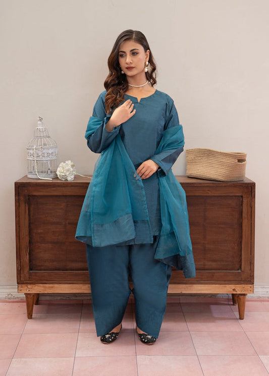 3 Piece Stitched Ladies Dress