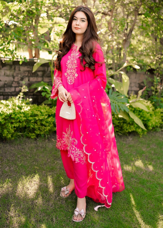 3 Piece Stitched Ladies Dress