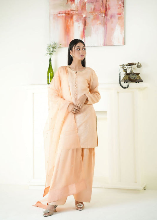 3 Piece Stitched Ladies Dress