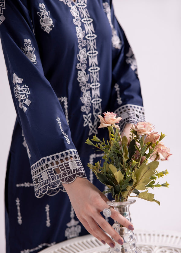3 Piece Stitched Ladies Dress