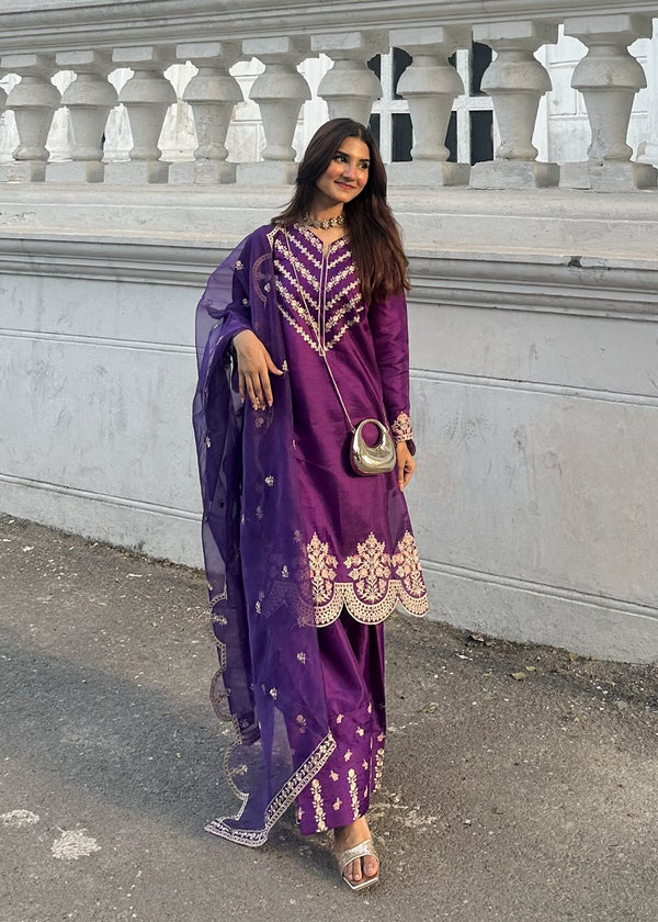 3 Piece Stitched Ladies Dress