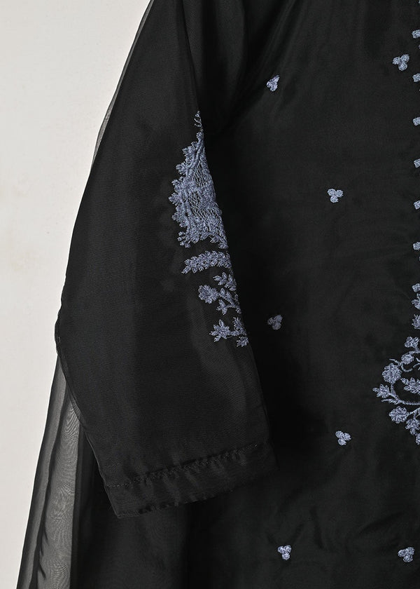 3 Piece Stitched Ladies Dress