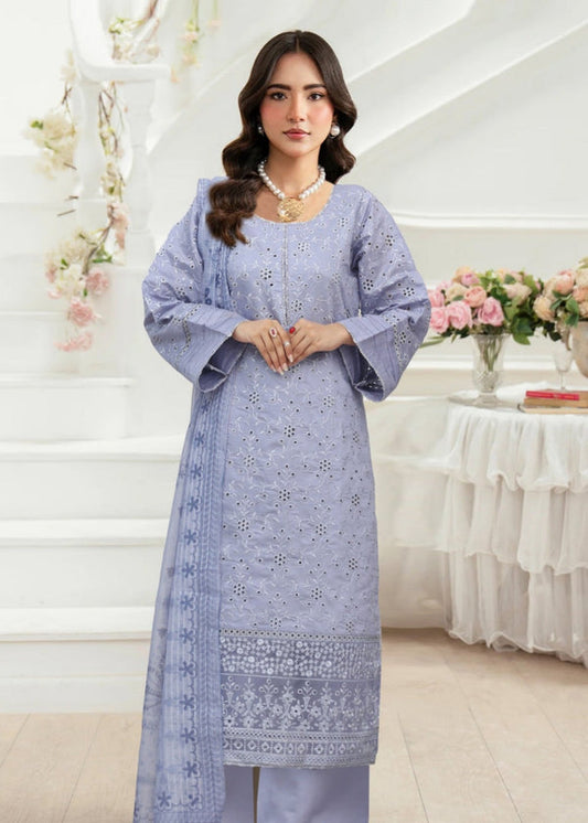 3 Piece Stitched Ladies Dress