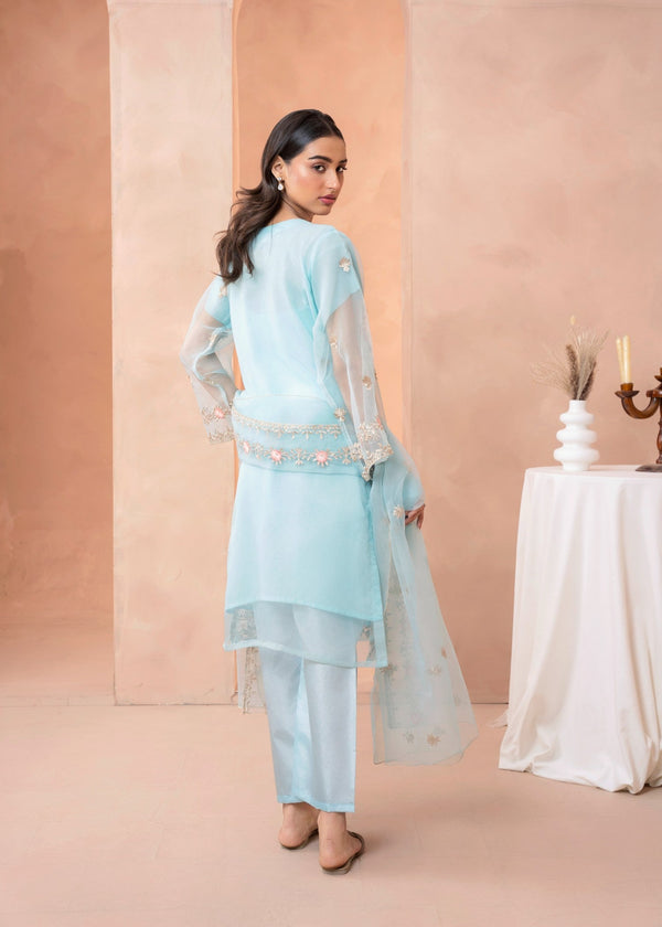3 Piece Stitched Ladies Dress