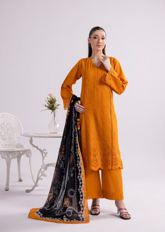 3 Piece Stitched Ladies Dress