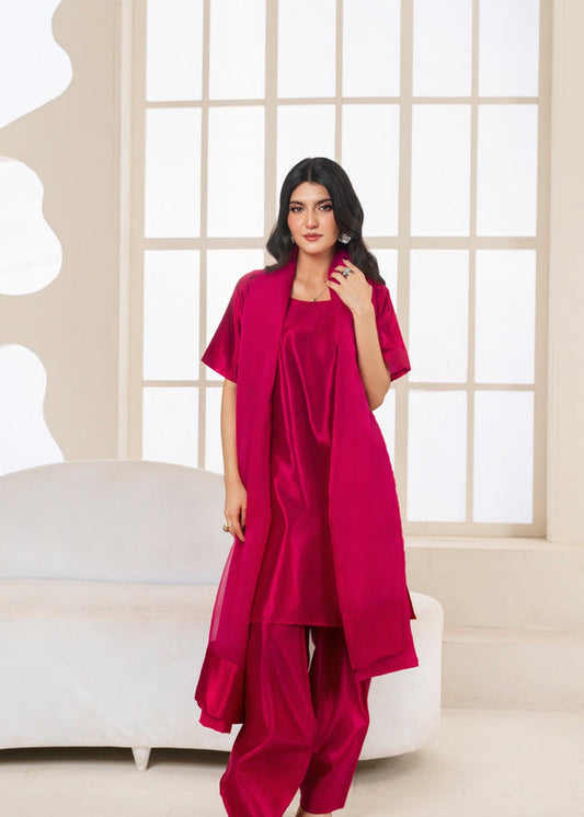 3 Piece Stitched Ladies Dress