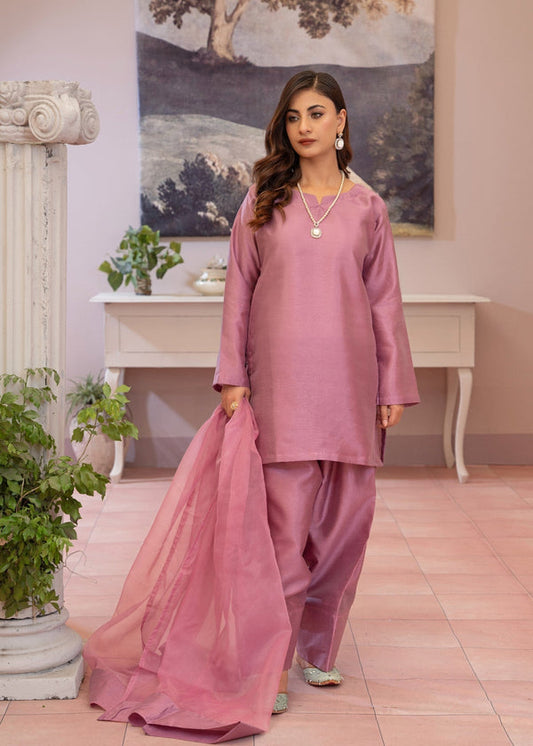 3 Piece Stitched Ladies Dress