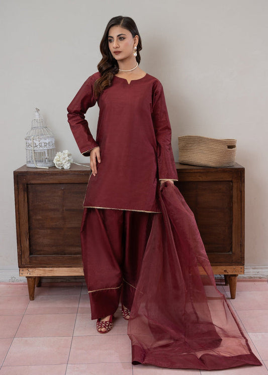 3 Piece Stitched Ladies Dress