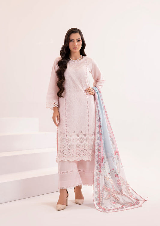 3 Piece Stitched Ladies Dress