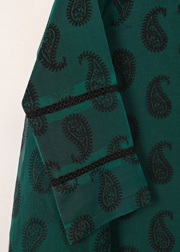 3 Piece Stitched Ladies Dress