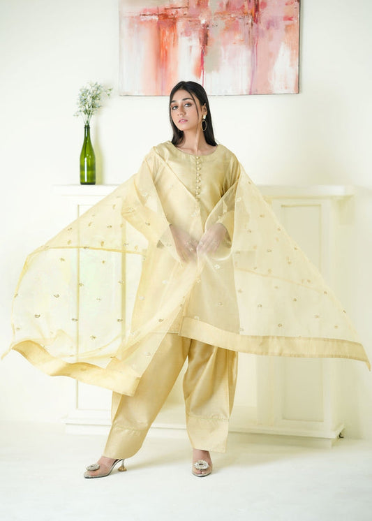 3 Piece Stitched Ladies Dress