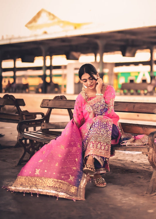 3 Piece Stitched Ladies Dress
