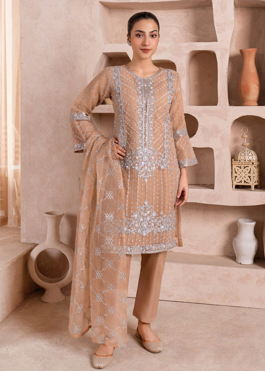 3 Piece Stitched Ladies Dress