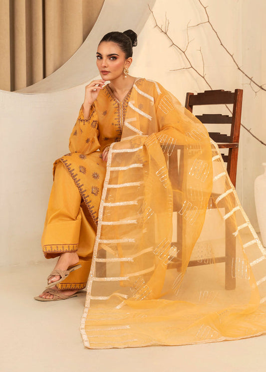 3 Piece Stitched Ladies Dress