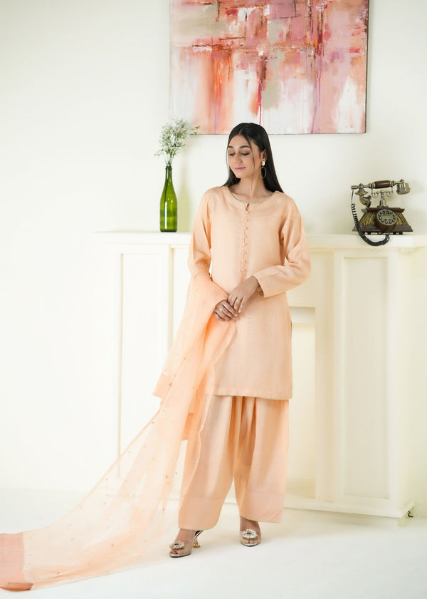 3 Piece Stitched Ladies Dress