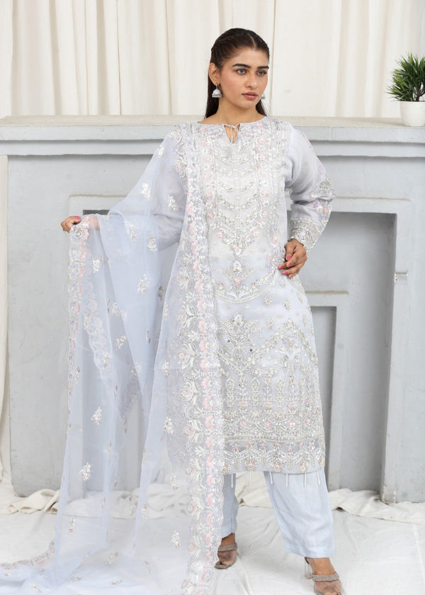 3 Piece Stitched Ladies Dress