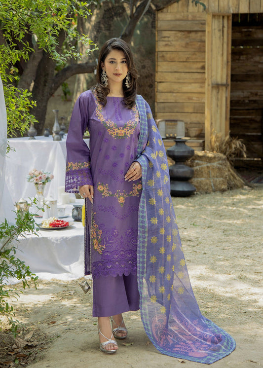 3 Piece Stitched Ladies Dress